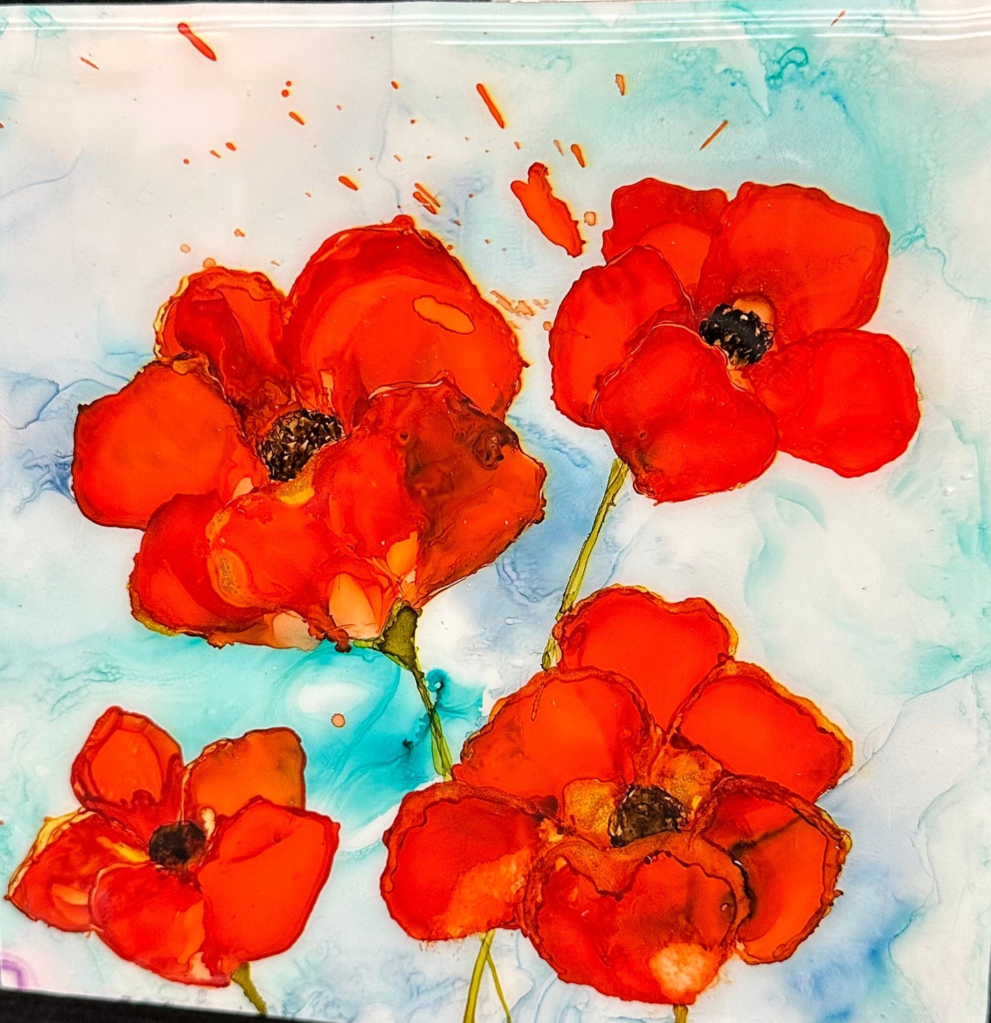 8 x 8 Poppies