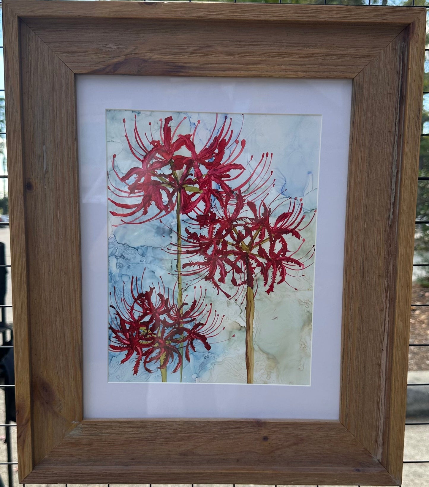 Spider Lilies 12 x 9