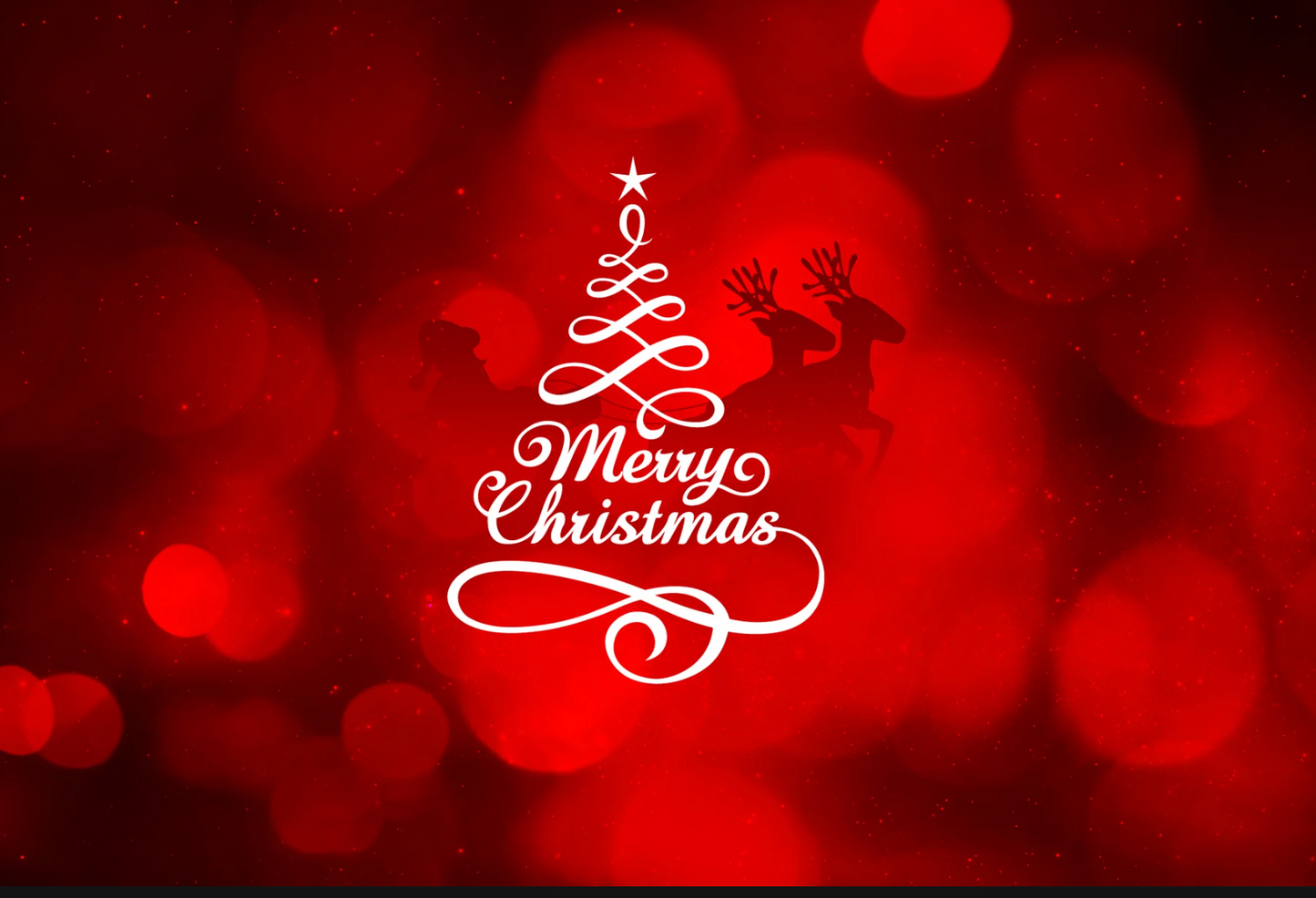Live Sale Christmas Tees